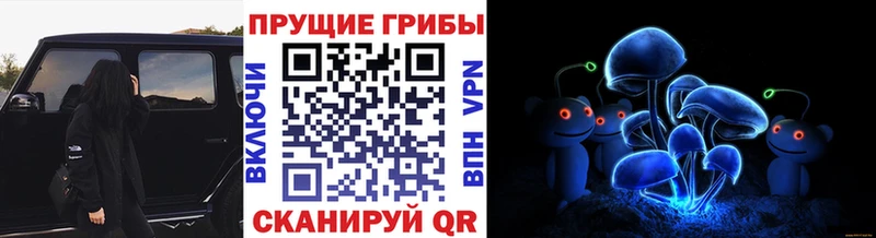 Галлюциногенные грибы мухоморы  Курчалой 